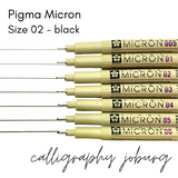 Pigma Micron - size 02